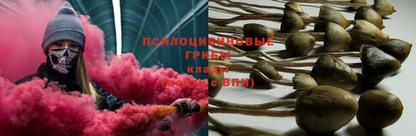 гашиш Белокуриха