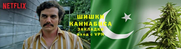 дживик Балахна