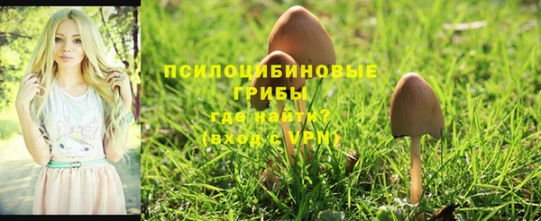гидра Белоозёрский