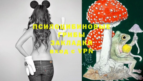 кокс Баксан